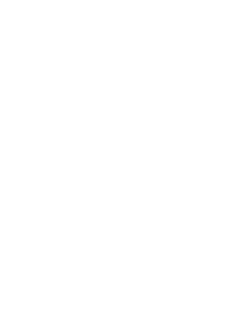 wearbushido
